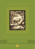 The Light In The Forest