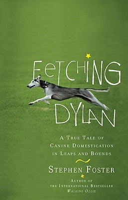 Fetching Dylan