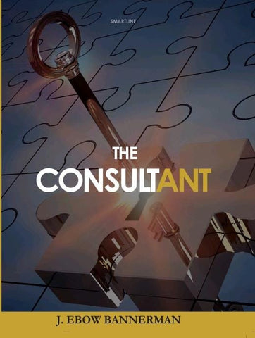 The Consultant